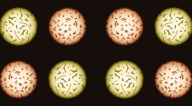 fmt microbiome therapeutics header
