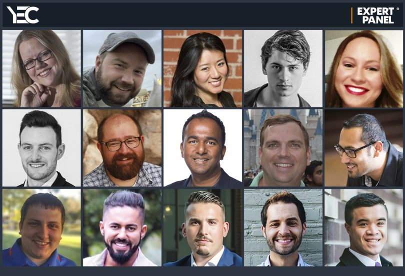 Contributing members of the YEC