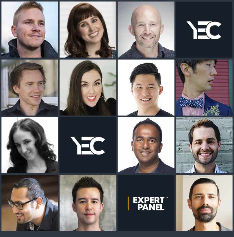 Headshots of the contributors