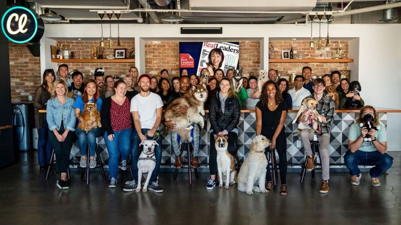 Classy Tech Companies San Diego