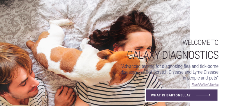 Galaxy Diagnostics biotech companies in Research Triangle Park