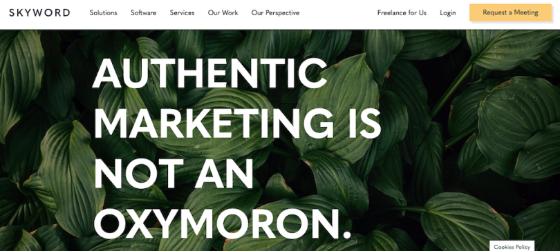 Skyword SEO companies