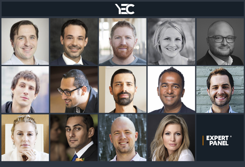 Headshots of article contributors