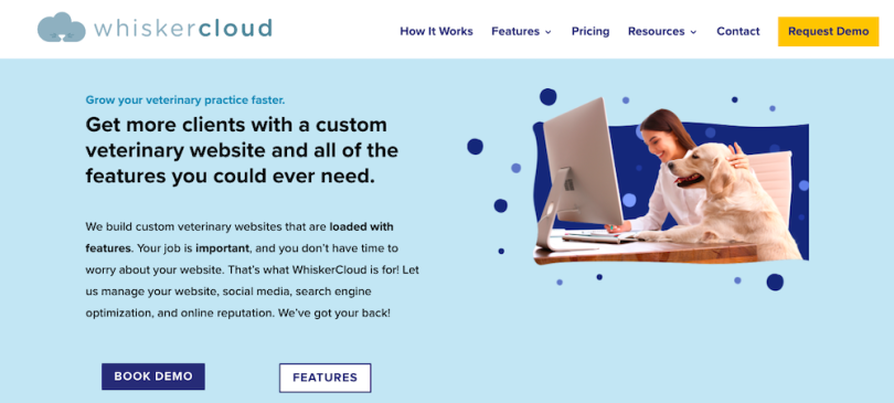 WhiskerCloud web design companies