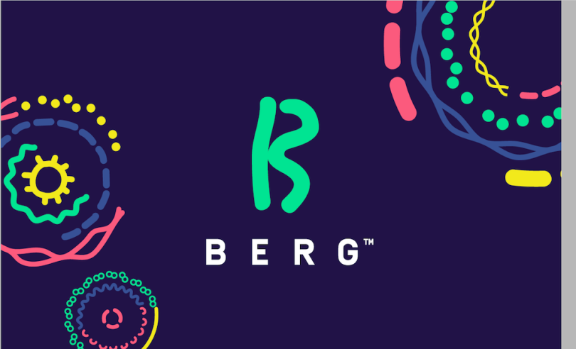 artificial intelligence applications healthcare berg