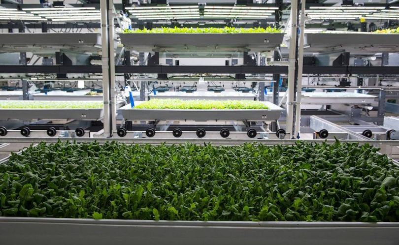 bowery farming farming robot