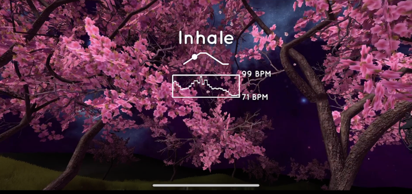 Inside VR landscapes like Cherry Blossom World, imagery helps Flowly users relax and manage their breathing.