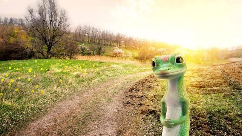 geico big data insurance
