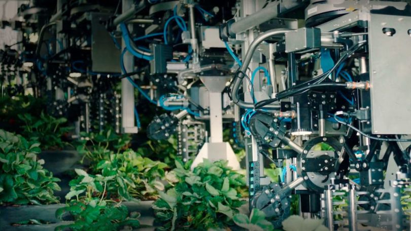 harvest croo farming robot
