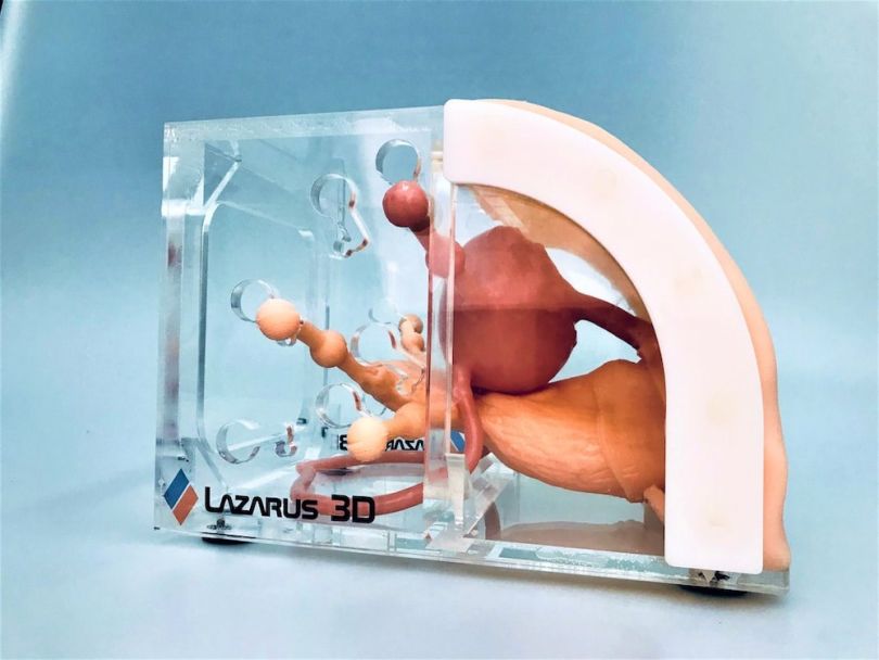 lazarus 3d medical training 3d printing medicine