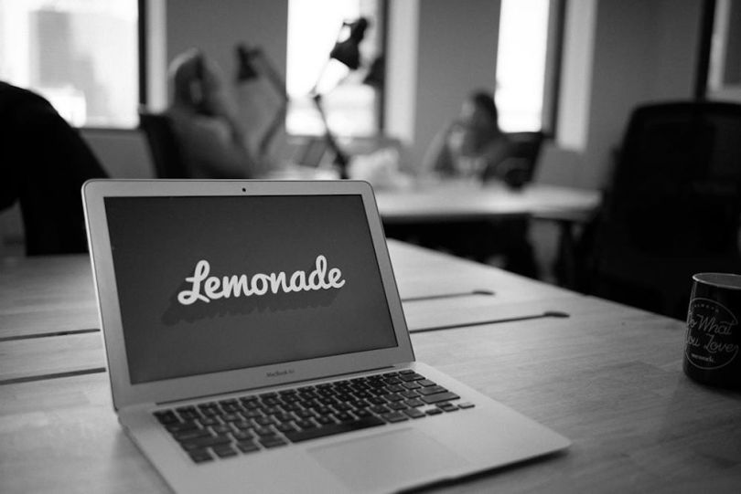 lemonade big data insurance