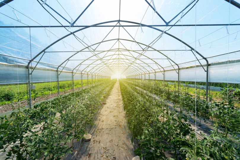 powergrow startups in phoenix