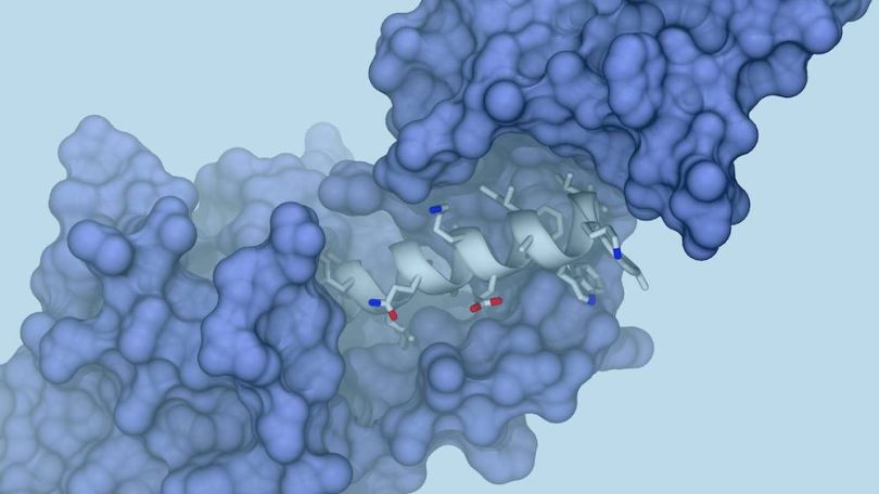 proteinqure quantum computing applications examples