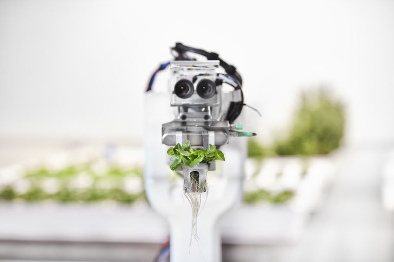 robotic greenhouses farming robot