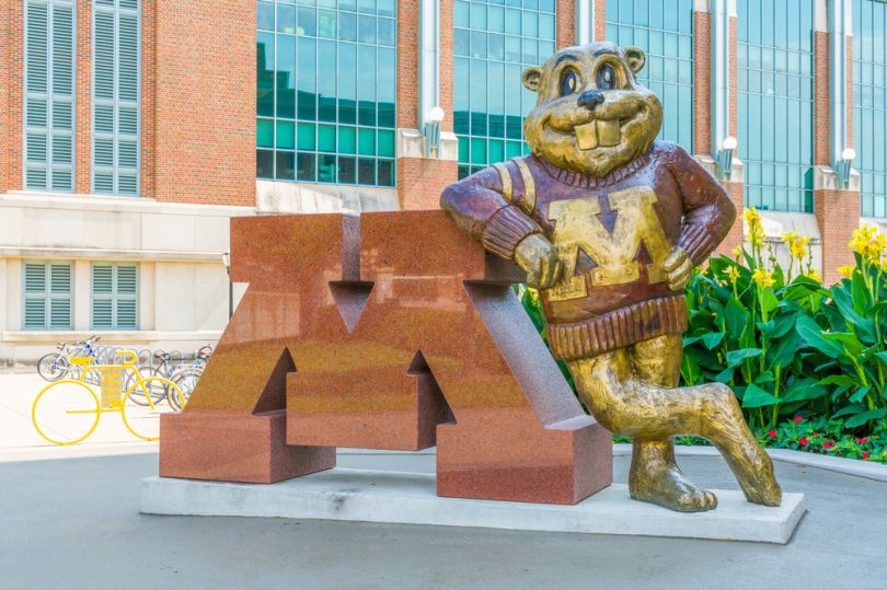 university of minnesota ui design courses companies