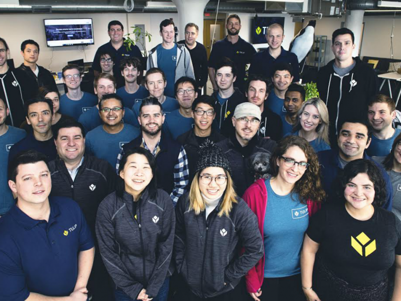 up and coming companies tulip