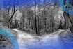 What Is Decision Tree Classification?