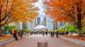 Hiring Now: 10 Chicago Companies Looking for Top Tech Talent to Join Their Growing Teams