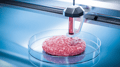 What Is 3D-Printed Meat?
