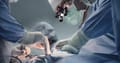 10 Healthcare Companies in Kolkata to Know