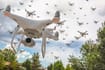 What Is a Drone Swarm?
