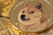 What Is a Memecoin?
