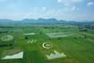 AI in Agriculture: How Is It Used?