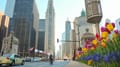 18 Local Companies to Watch This Spring