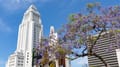 What Makes Cie a Company to Watch This Spring