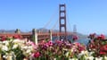 8 Companies Shaping San Francisco’s Tech Scene 