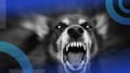 How to Tame ‘Unleashed’ AI-Assisted Software Development