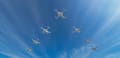 What Is Swarm Intelligence?