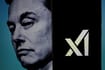 Everything You Need to Know About xAI, the Company Behind Grok