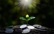 Socially Responsible Investing and ESG Funds: Green or Grift?