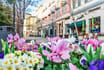 14 Companies In Downtown San Jose To Know