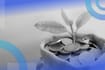 What Are Compensation and Benefits?