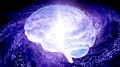 What Is Generative AI?
