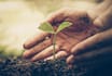 22 Companies That Help the Environment