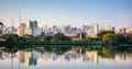 16 Multinational Companies in Brazil to Know