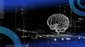 How to Design Products for the Brain, the Next Frontier in User Interfaces