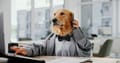 10 Companies With Pet-Friendly Offices