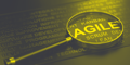 Do You Need to Rely on Agile Methodology?