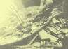 Why Your Software Testing Strategies Could Use a Dose of Creativity