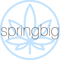 springbig