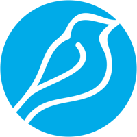 Bluebird International