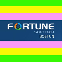 Boston Fotune Softtech