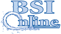 BSI Online