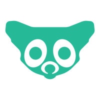 Our mascot - the Colorado Ringtail Cat