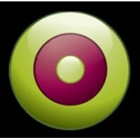 brand visage