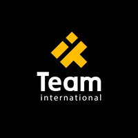 Team International Managed IT Services Company Logo